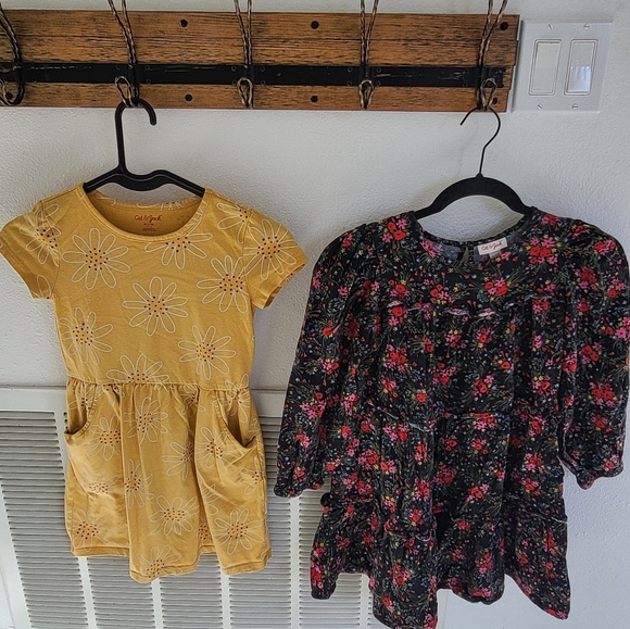 Clothes - Picture 16 of 16